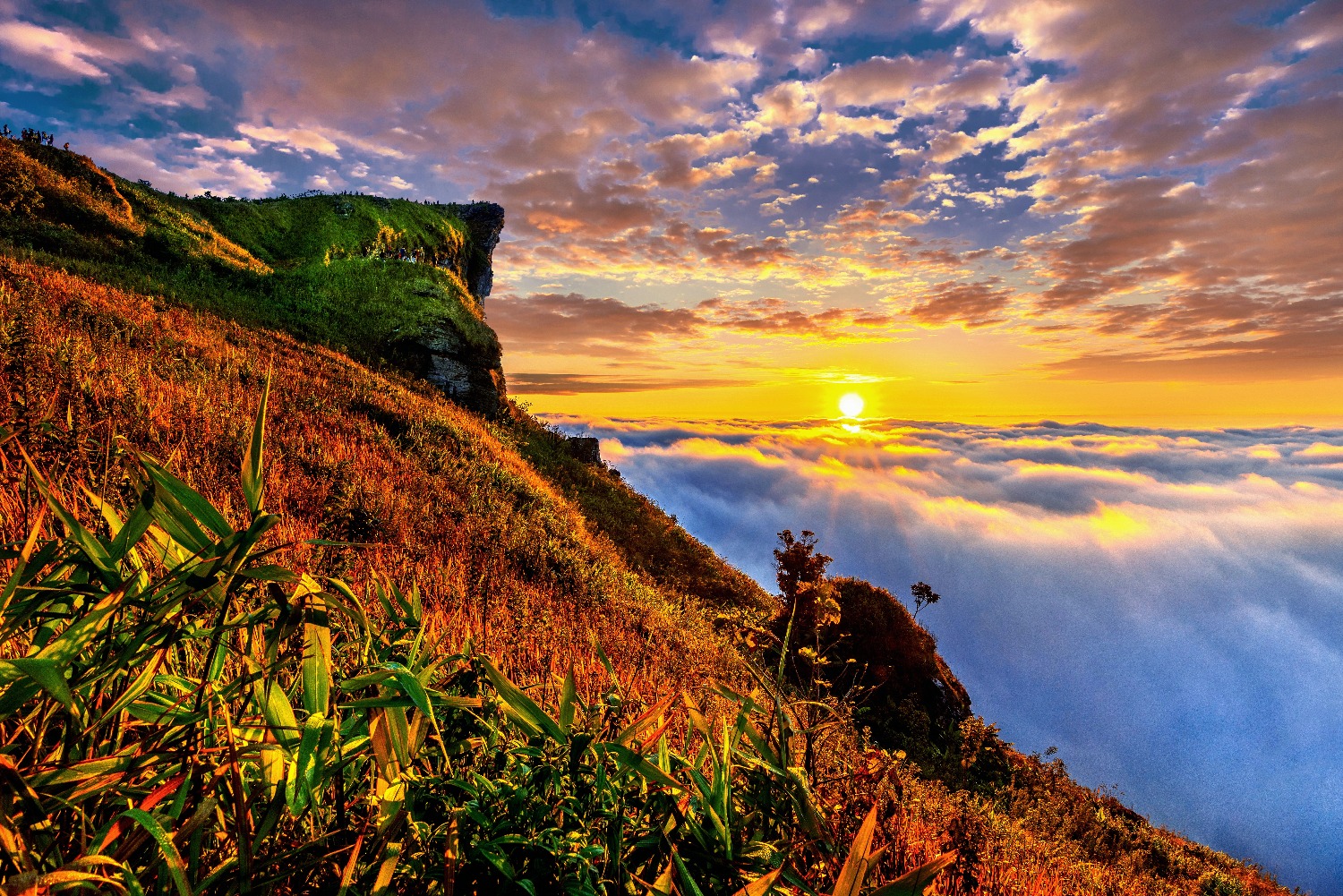 phu-chi-fa-mist-sunrise-chiang-rai-province-thailand.jpg