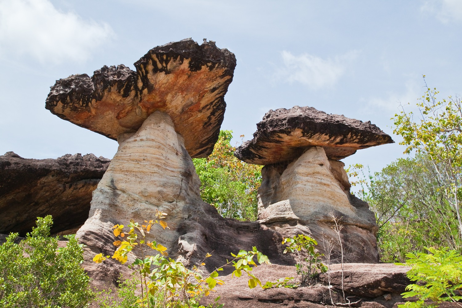 mushroom-stone-blue-sky-pha-taem-national-park-thailand.jpg