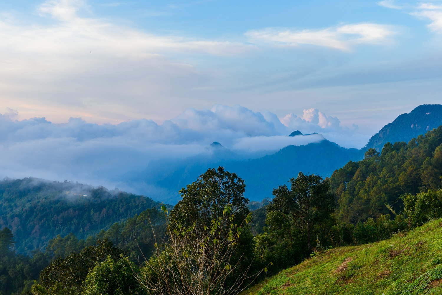 mon-sone-view-point-doi-pha-hom-pok-national-park-angkhang-mountain-chiang-mai-t.jpg