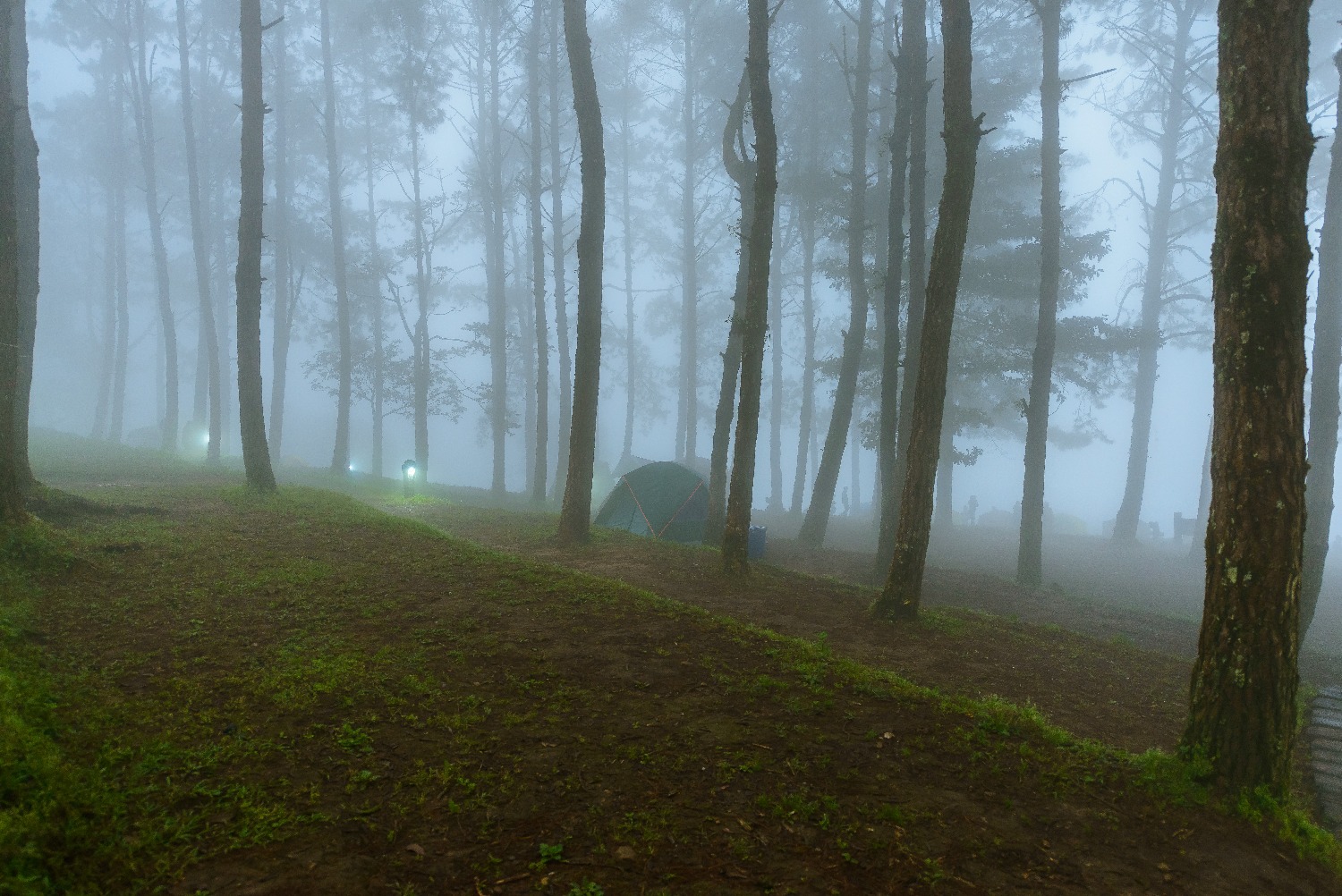 mist-morning-mon-sone-view-point-doi-pha-hom-pok-national-park-thailand.jpg