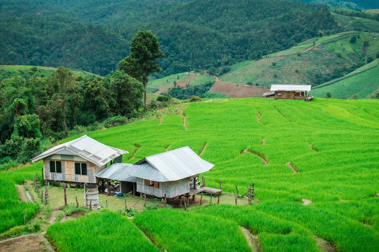 good-moment-good-time-rice-step-farm-with-twilight-ban-pa-bong-piang-landmark-me.jpg