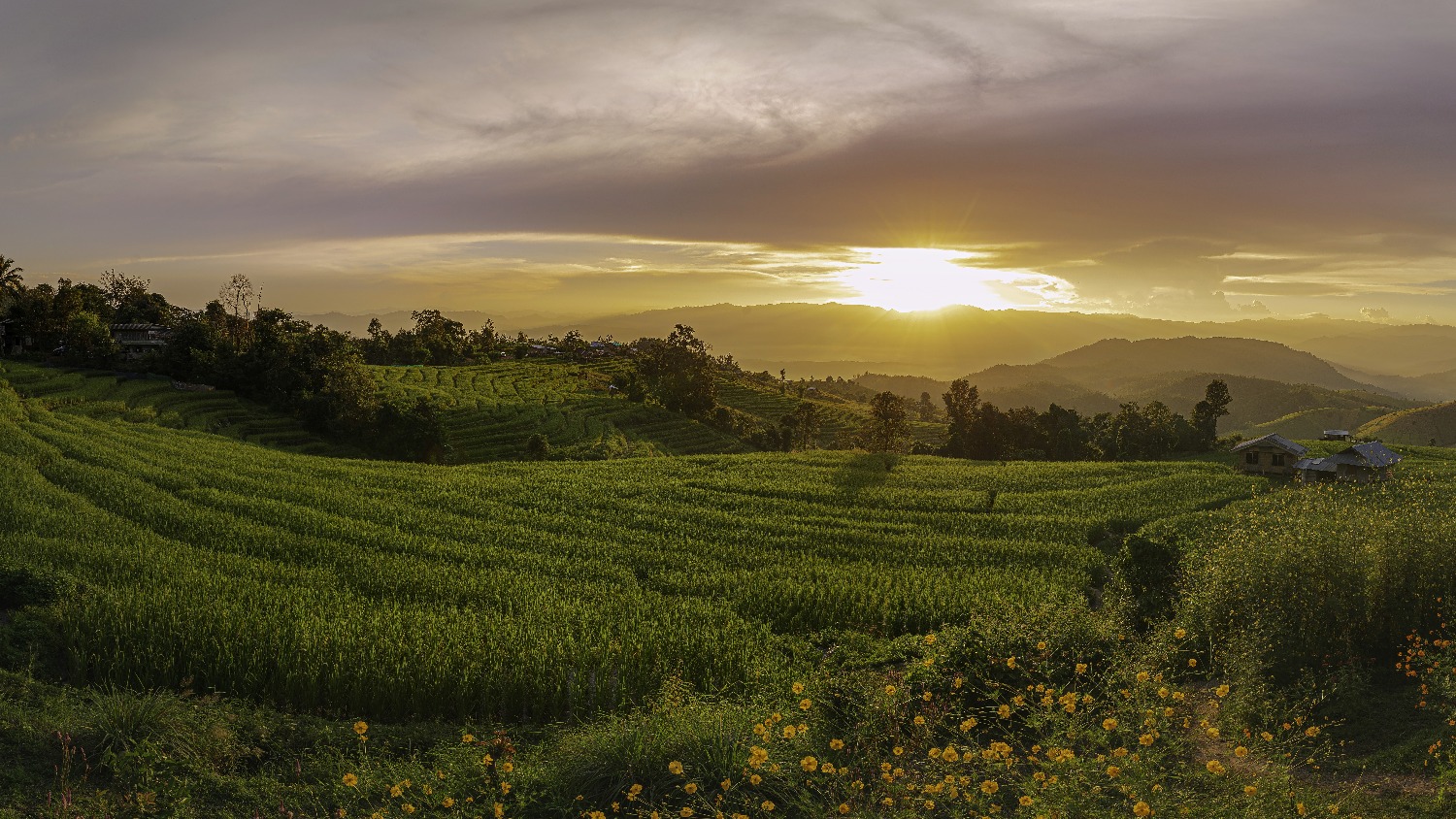 good-moment-good-time-rice-step-farm-with-twilight-ban-pa-bong-piang-landmark-me.jpg