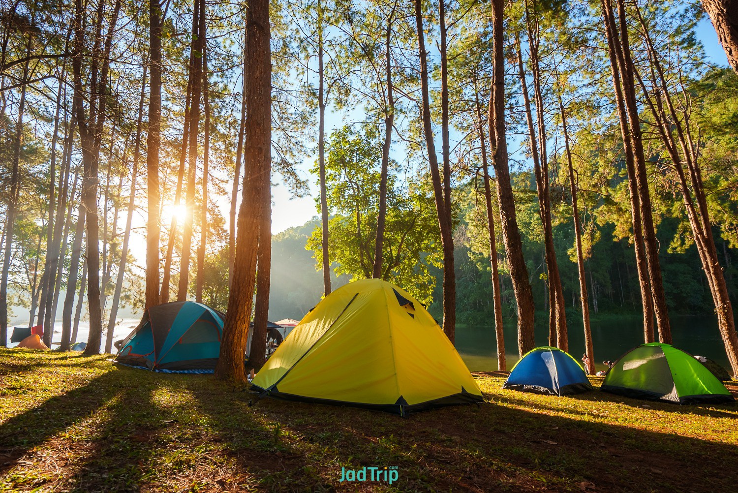 scenic-view-pine-forest-tourists-camping-with-swan-reservoir-morning-pang-oung-m.jpg