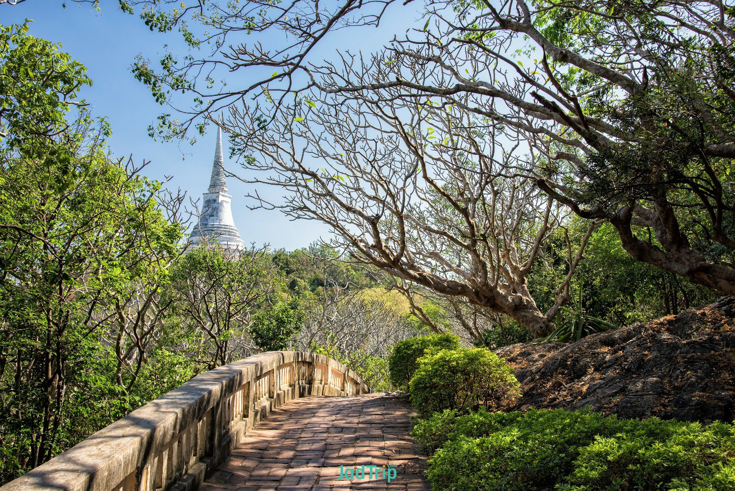 uphill-mountain-walkway-with-beautiful-tree-garden-white-pagoda-phra-nakhon-khiri.jpg