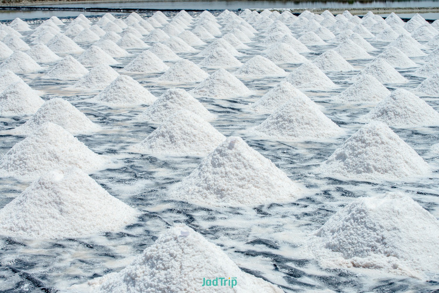 salt-old-style-central-thai-scenes-salt-farms-bang-tabun-phetchaburi-province-thailand.jpg