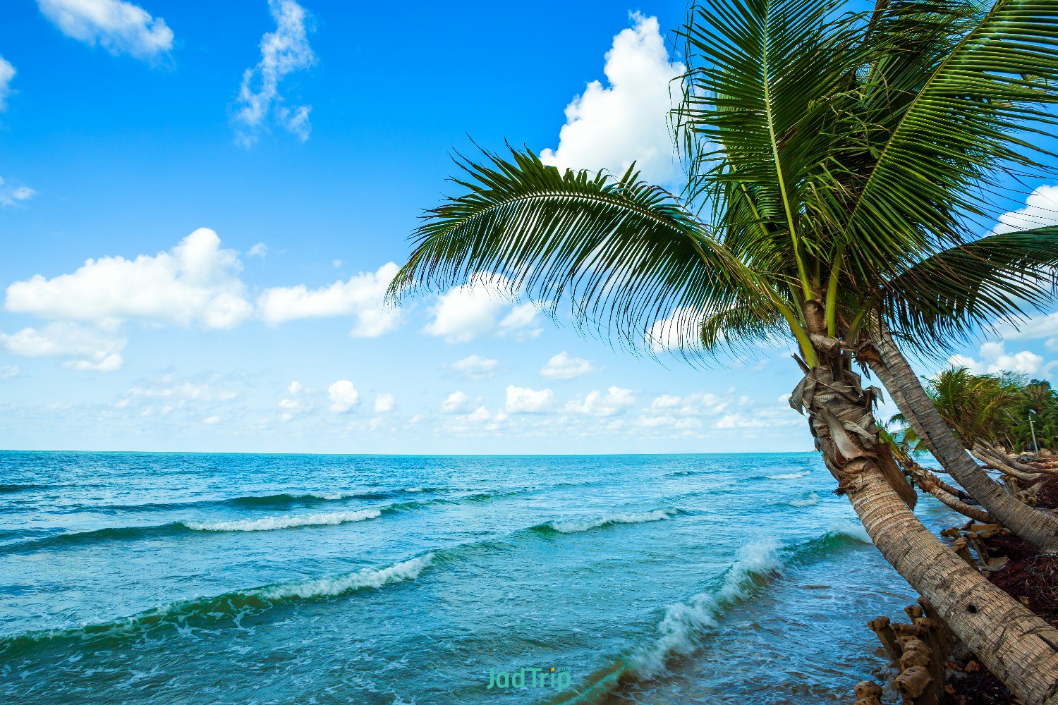 beautiful-daytime-coconut-tree-with-sea-horizon-hat-chao-lao-beach-chanthaburi-t.jpg