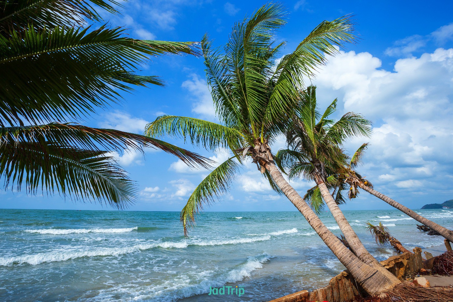 beautiful-early-morning-sunrise-coconut-tree-with-sea-horizon-hat-chao-lao-beach.jpg