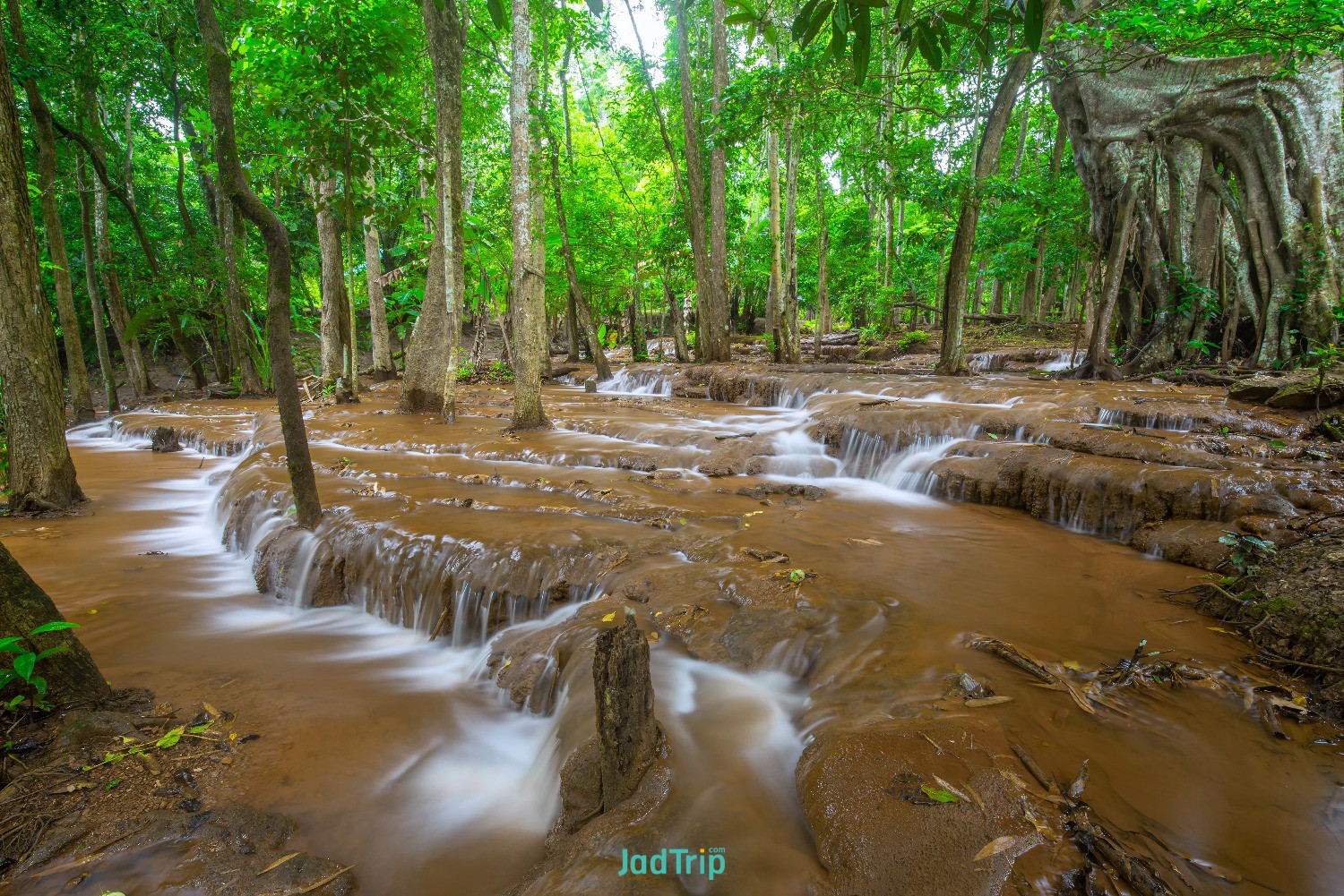 waterfall-rain-forest-pa-wai-waterfall-tak-province-thailand.jpg