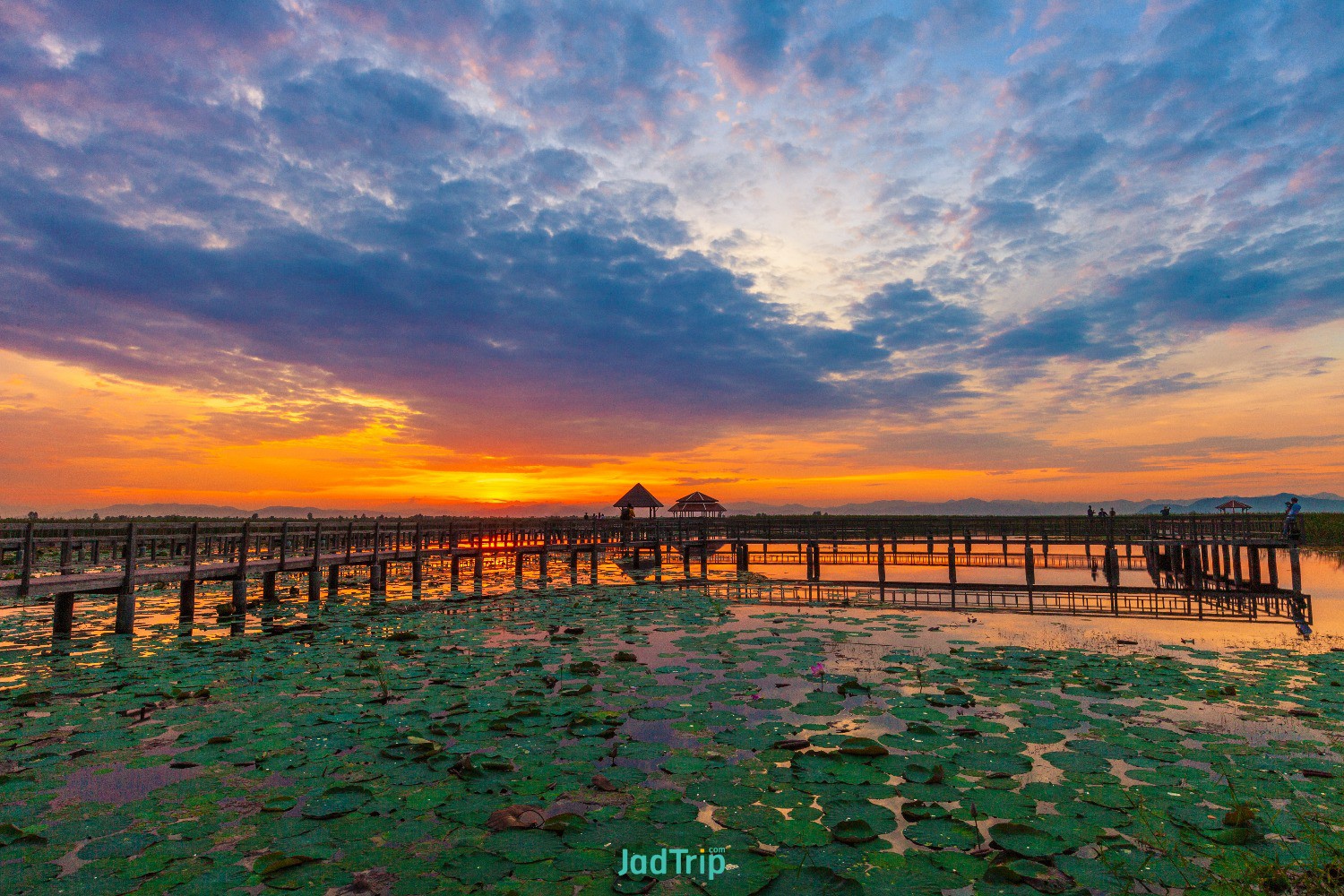 sam-roi-yot-freshwater-marsh (1).jpg