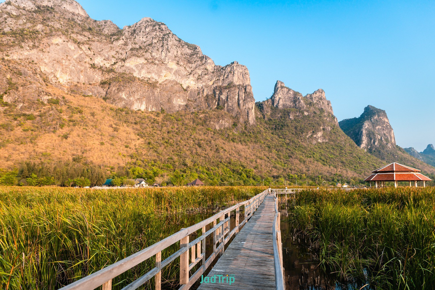 wooden-bridge-lotus-lake-sunset-time-khao-sam-roi-yot-national-park-thailand.jpg
