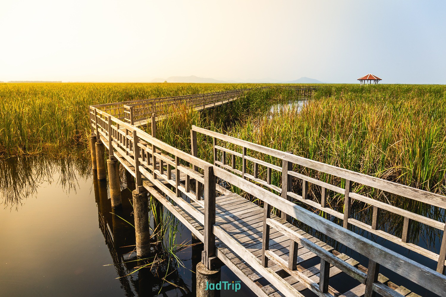 wooden-bridge-lotus-lake-sunset-time-khao-sam-roi-yot-national-park-thailand.jpg