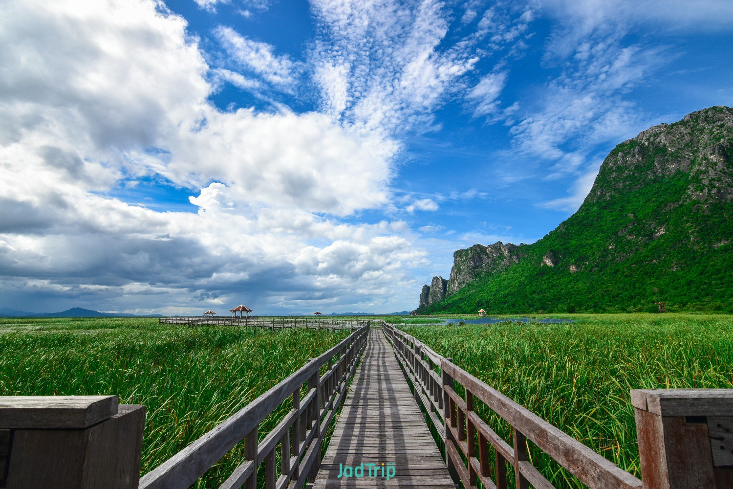wooden-bridge-lotus-lake-sunset-time-khao-sam-roi-yot-national-park-thailand.jpg