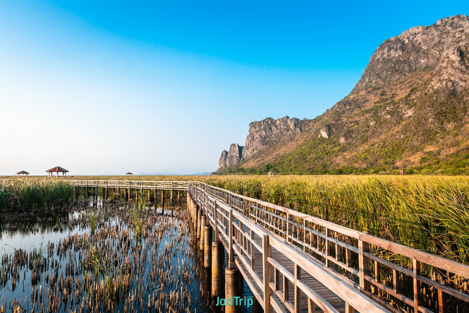 wooden-bridge-lotus-lake-sunset-time-khao-sam-roi-yot-national-park-thailand.jpg