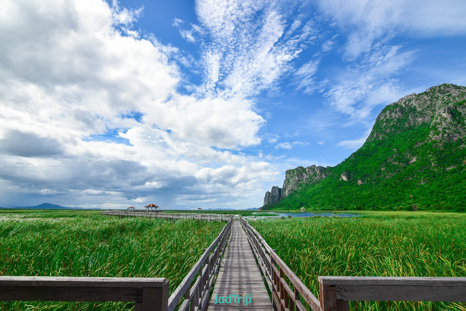 wooden-bridge-lotus-lake-sunset-time-khao-sam-roi-yot-national-park-thailand.jpg