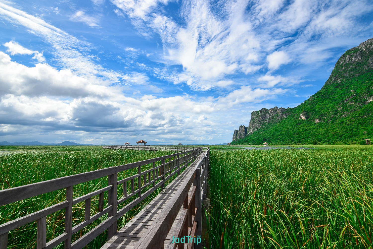 wooden-bridge-lotus-lake-sunset-time-khao-sam-roi-yot-national-park-thailand.jpg