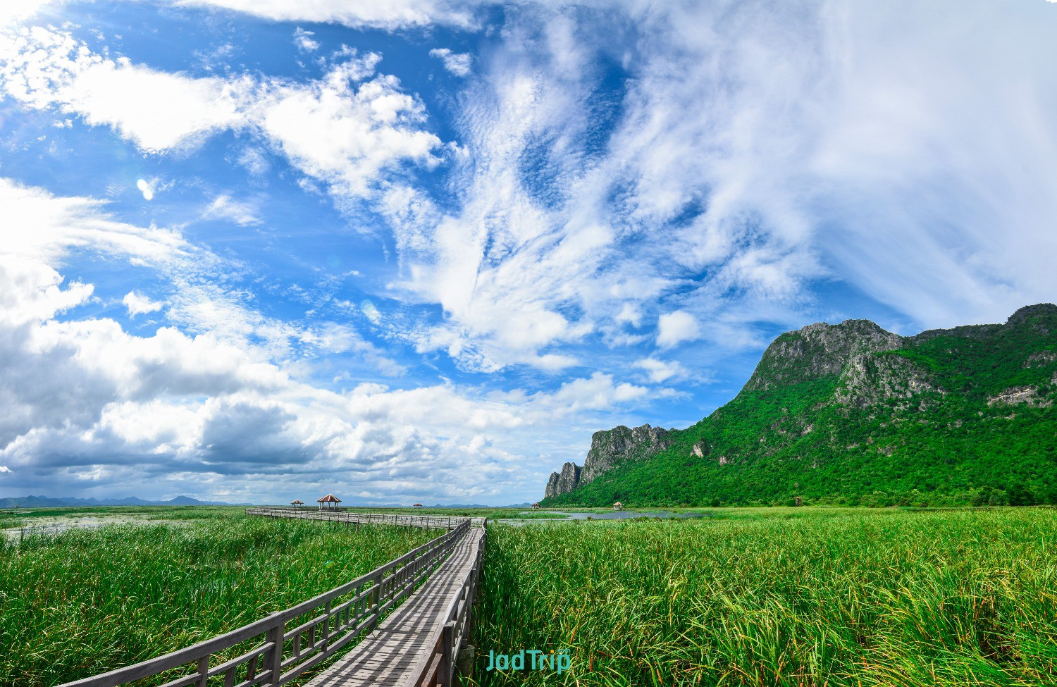 wooden-bridge-lotus-lake-sunset-time-khao-sam-roi-yot-national-park-thailand.jpg