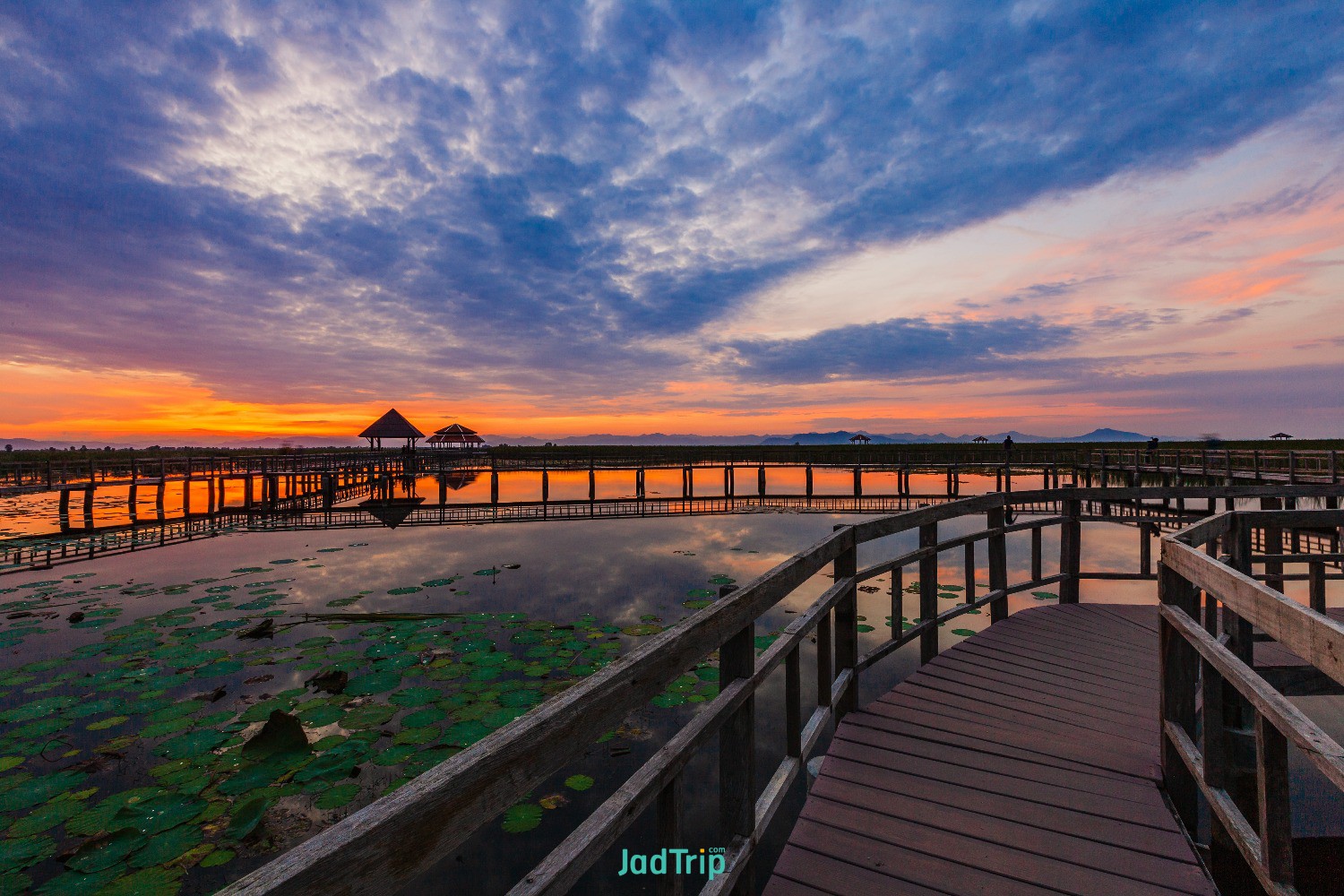wooden-bridge-lotus-lake-sunset-time-khao-sam-roi-yot-national-park-thailand (7).jpg
