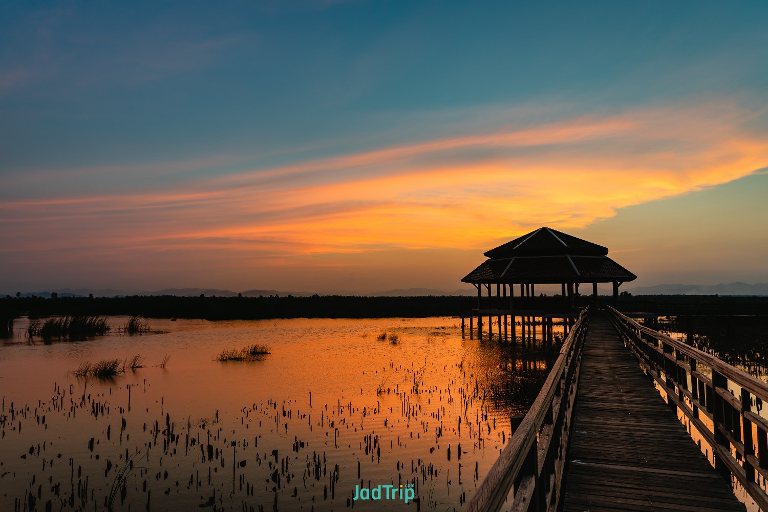 wooden-bridge-lotus-lake-sunset-time-khao-sam-roi-yot-national-park-thailand (7).jpg