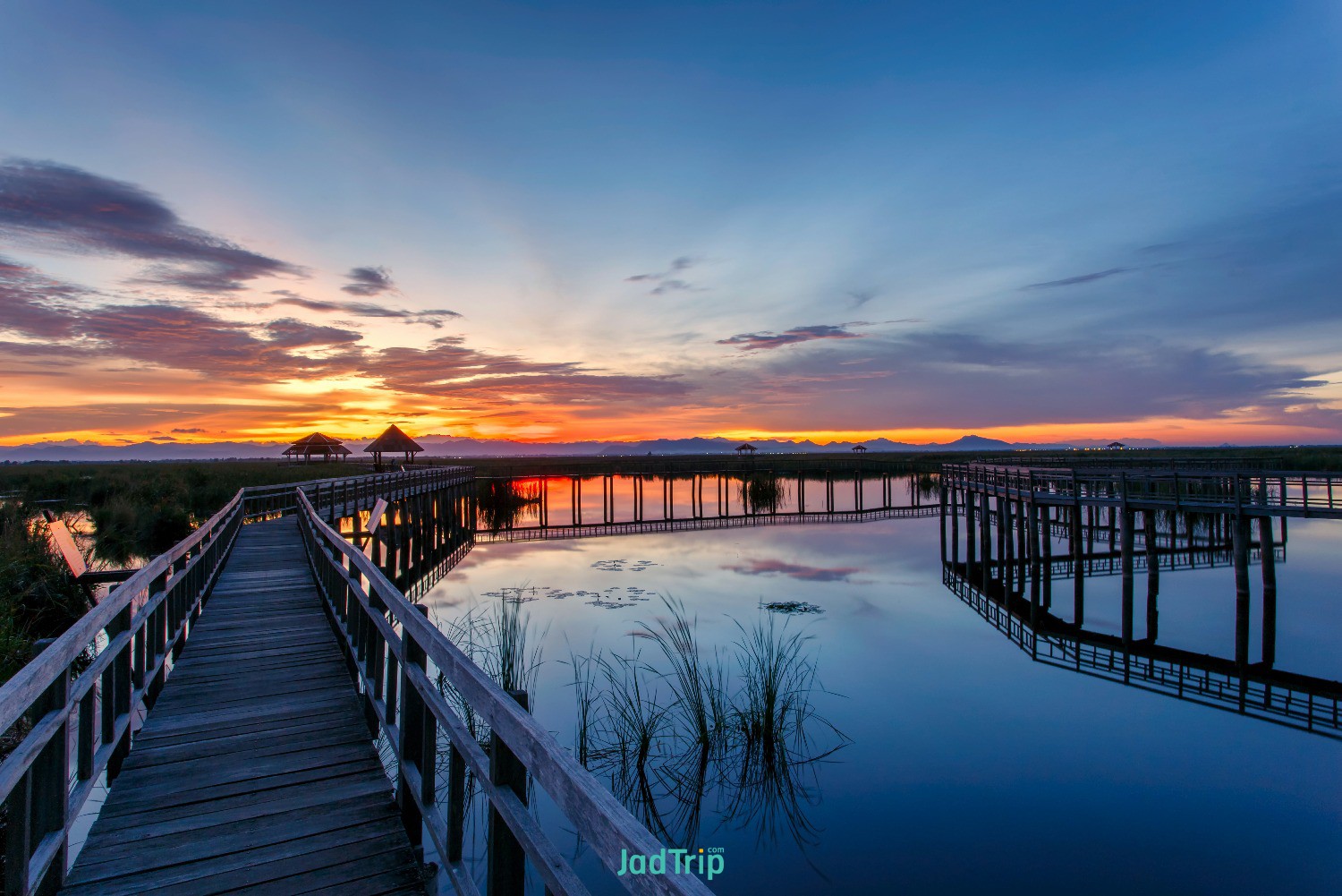 wooden-bridge-lotus-lake-sunset-time-khao-sam-roi-yot-national-park-thailand (7).jpg