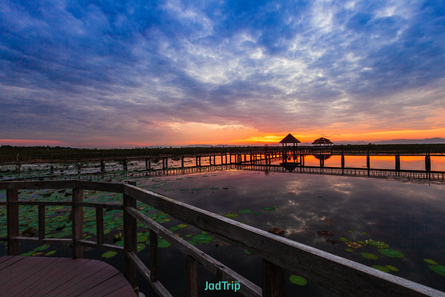 wooden-bridge-lotus-lake-sunset-time-khao-sam-roi-yot-national-park-thailand (7).jpg
