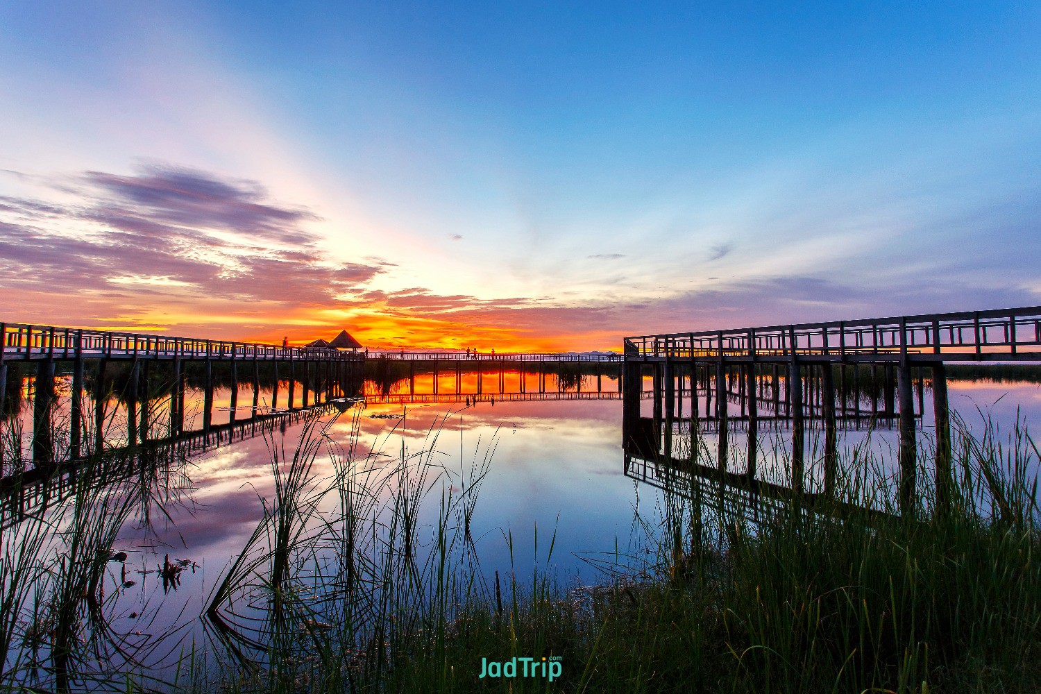 wooden-bridge-lotus-lake-sunset-time-khao-sam-roi-yot-national-park-thailand (7).jpg