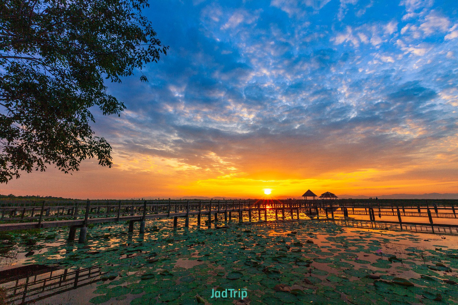 wooden-bridge-lotus-lake-sunset-time-khao-sam-roi-yot-national-park-thailand (7).jpg