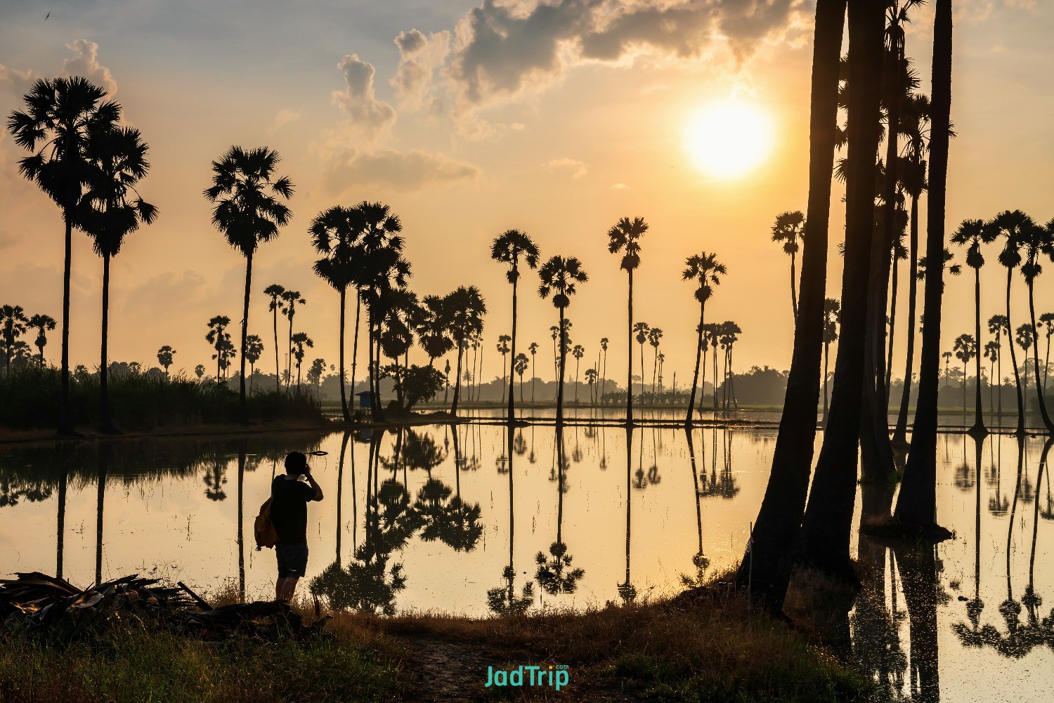silhouette-photographer-photo-shoot-sugar-palm-trees-farm-with-water-reflection-.jpg
