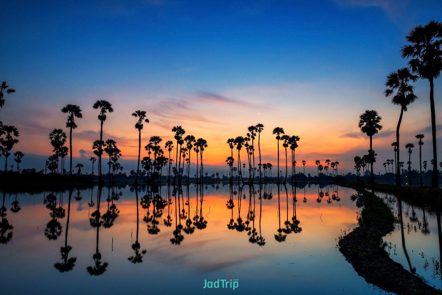 landcape-silhouette-sugar-palm-trees-with-skyline-reflection-water-twilight-sky-.jpg