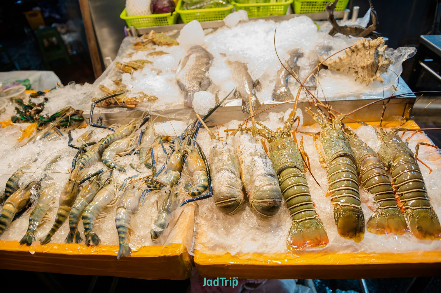 street-food-yaowarat-road-chinatown-bangkok-sample-delicious-street-food-there-a.jpg