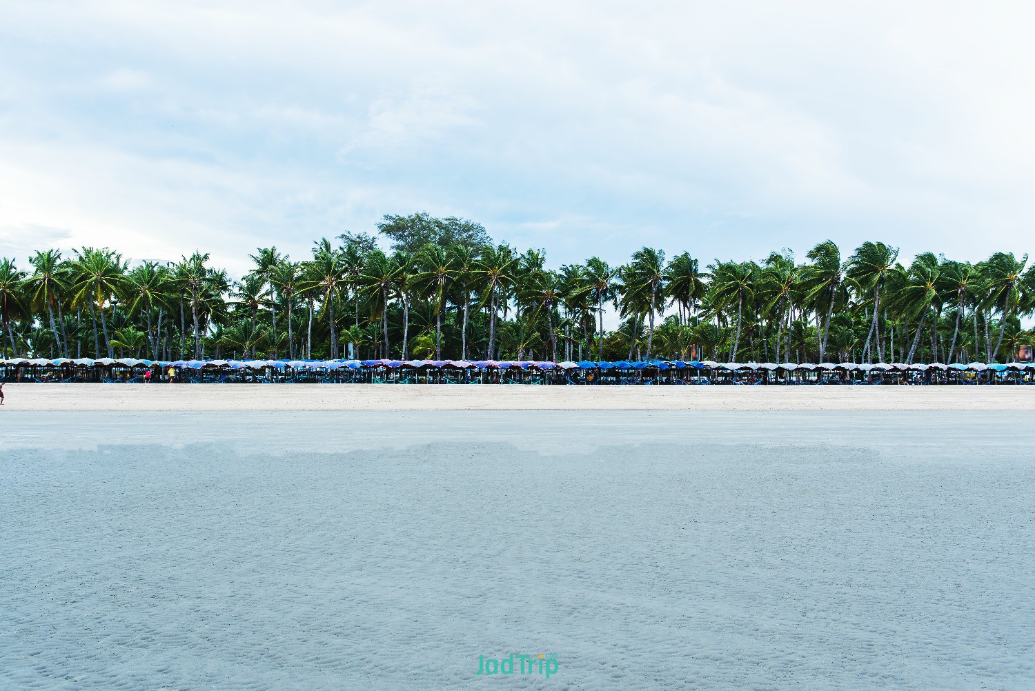 old-tear-umbrella-open-protect-sunshine-tourists-bangsaen-beach-chonburi-thailand.jpg