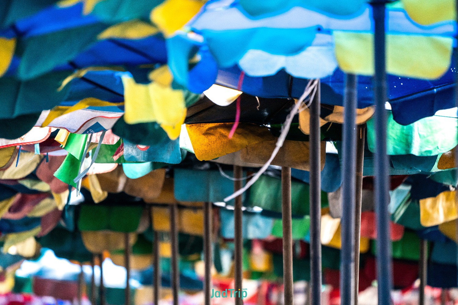 old-tear-umbrella-open-protect-sunshine-tourists-bangsaen-beach-chonburi-thailand.jpg