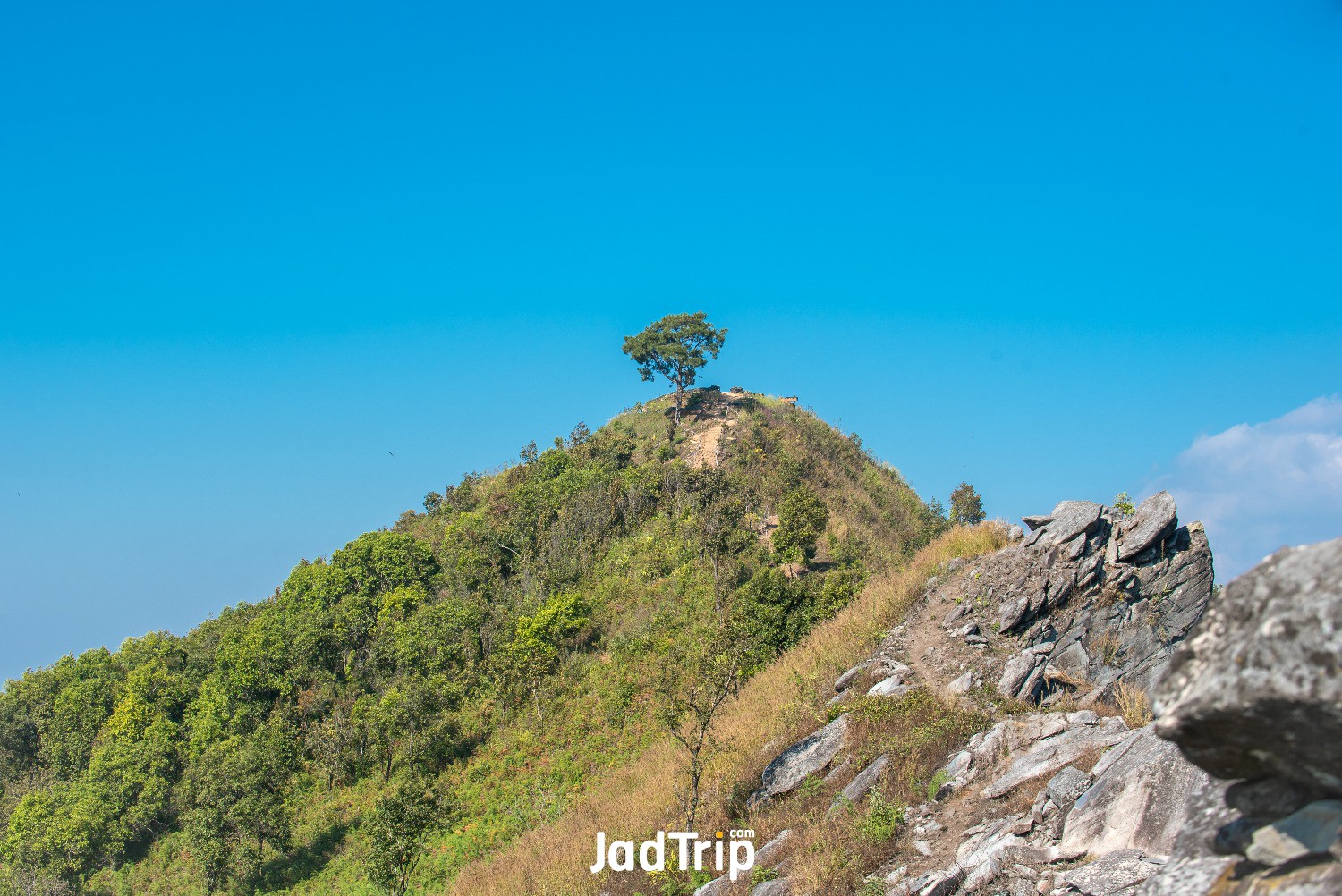 view-point-doi-pha-tang-chiang-rai-thailand.jpg