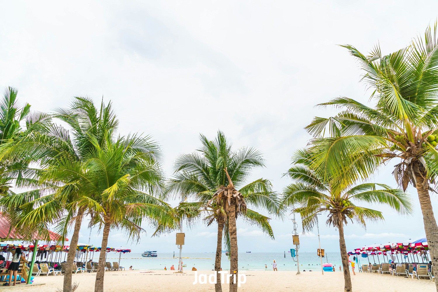 palm-with-umbrella-chair-beach.jpg