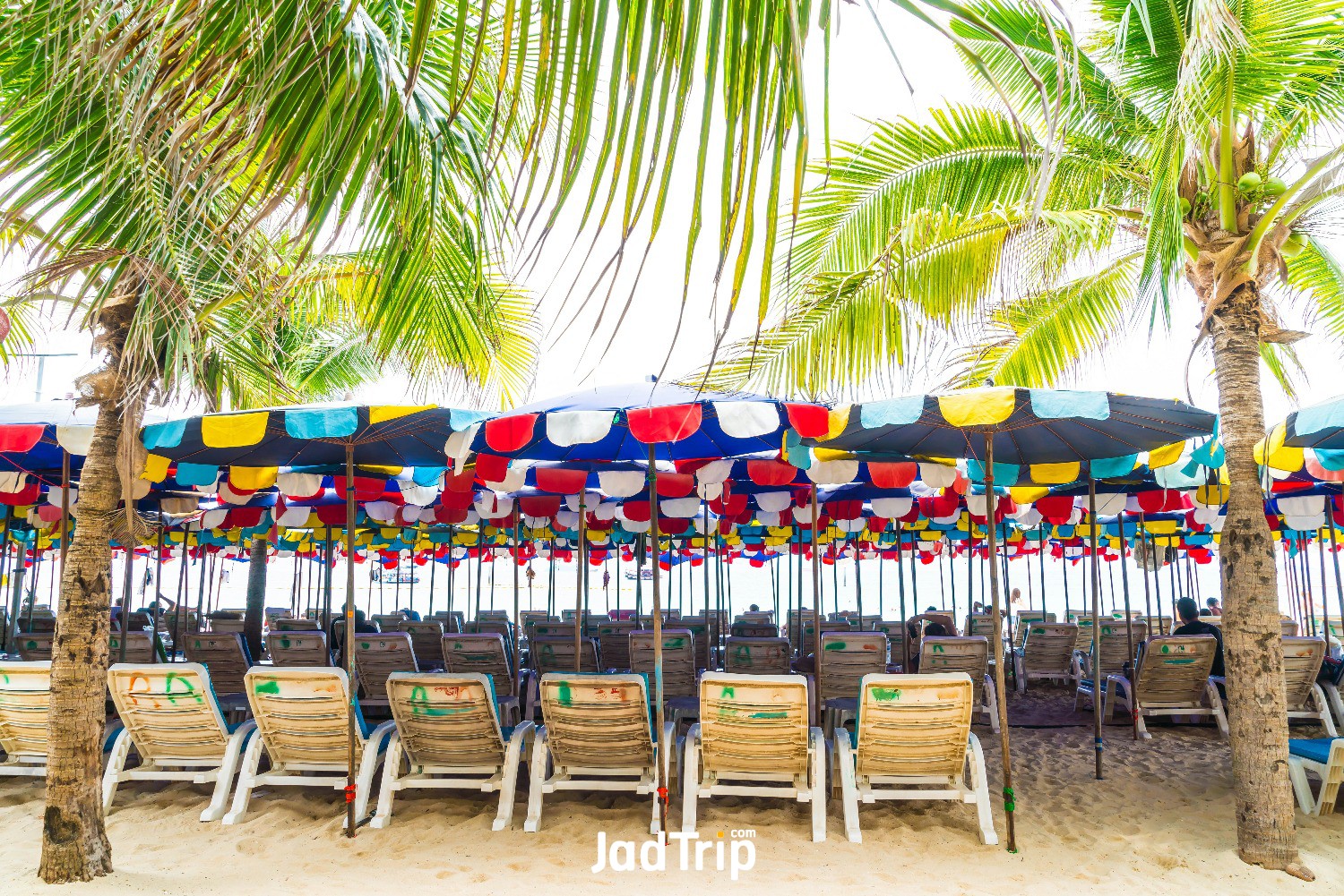 palm-with-umbrella-chair-beach.jpg