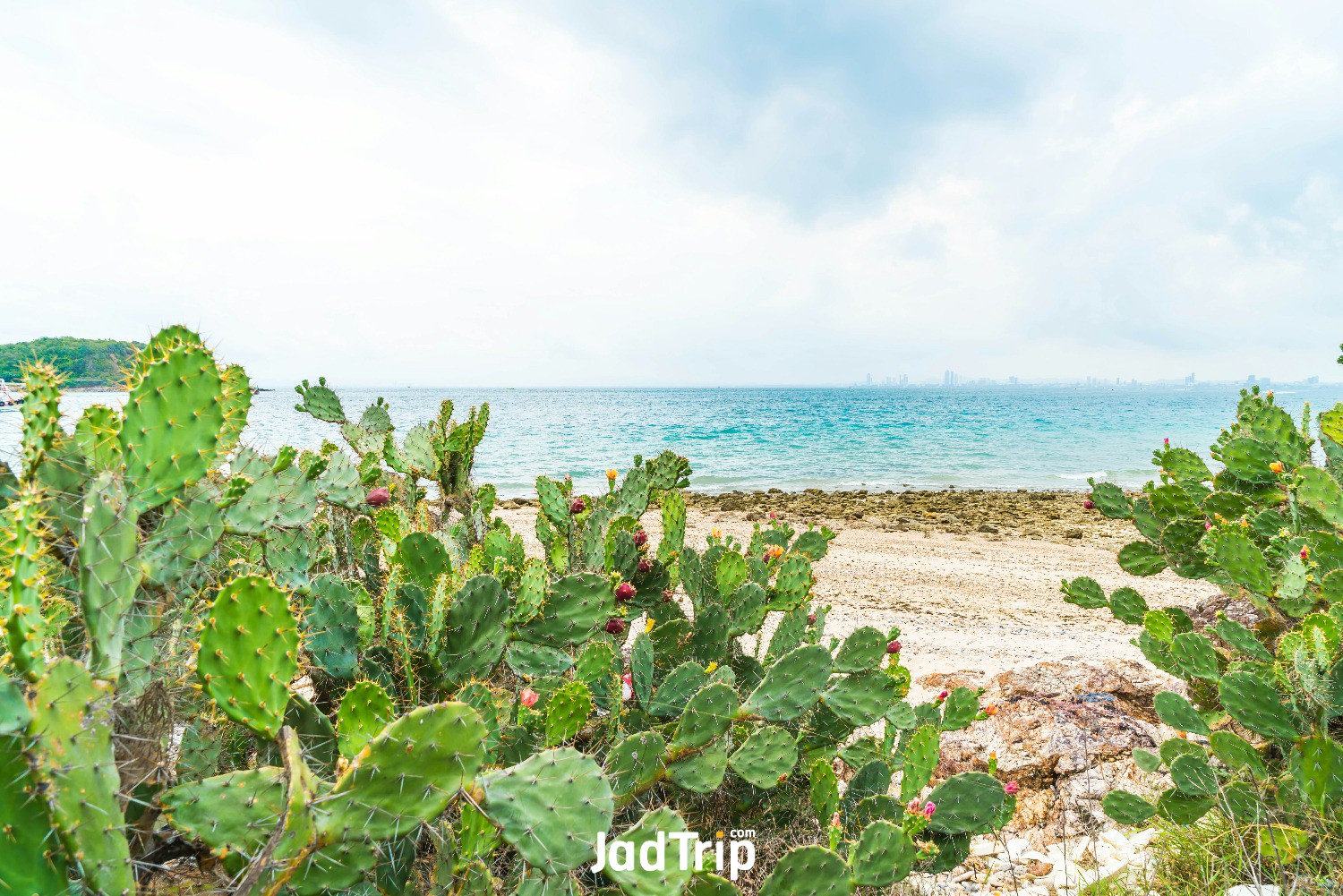 wooden-bridge-with-beautiful-tropical-beach-koh-larn-pattaya.jpg