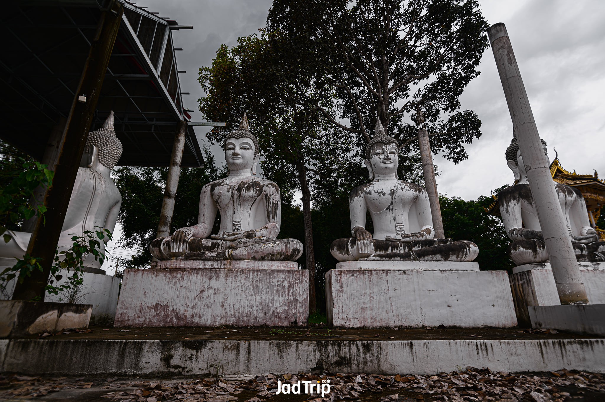 ลานธรรมมะพุทธะจักรวาลรอบล้อม.jpg