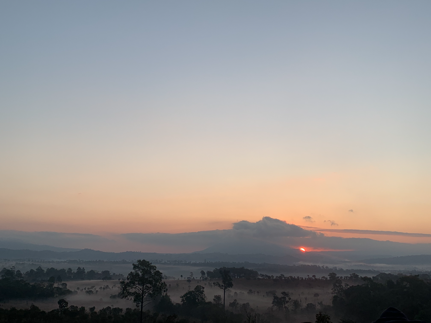 8B23D84F-25B7-47B0-B72F-A32EAE3EB929.png