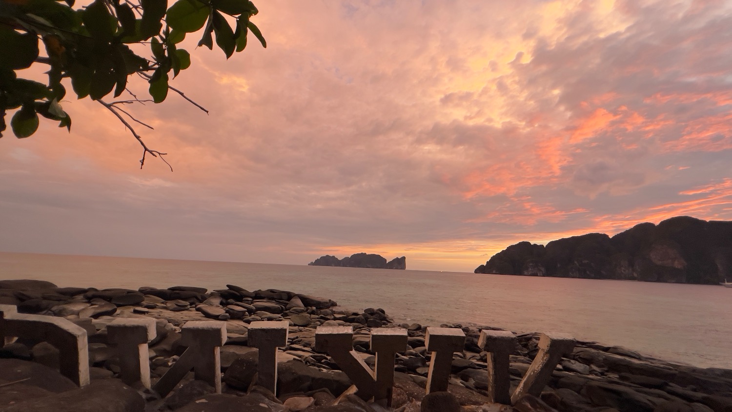 D5D5356B-8EF6-49B3-AA1A-6A31BD654783.jpeg
