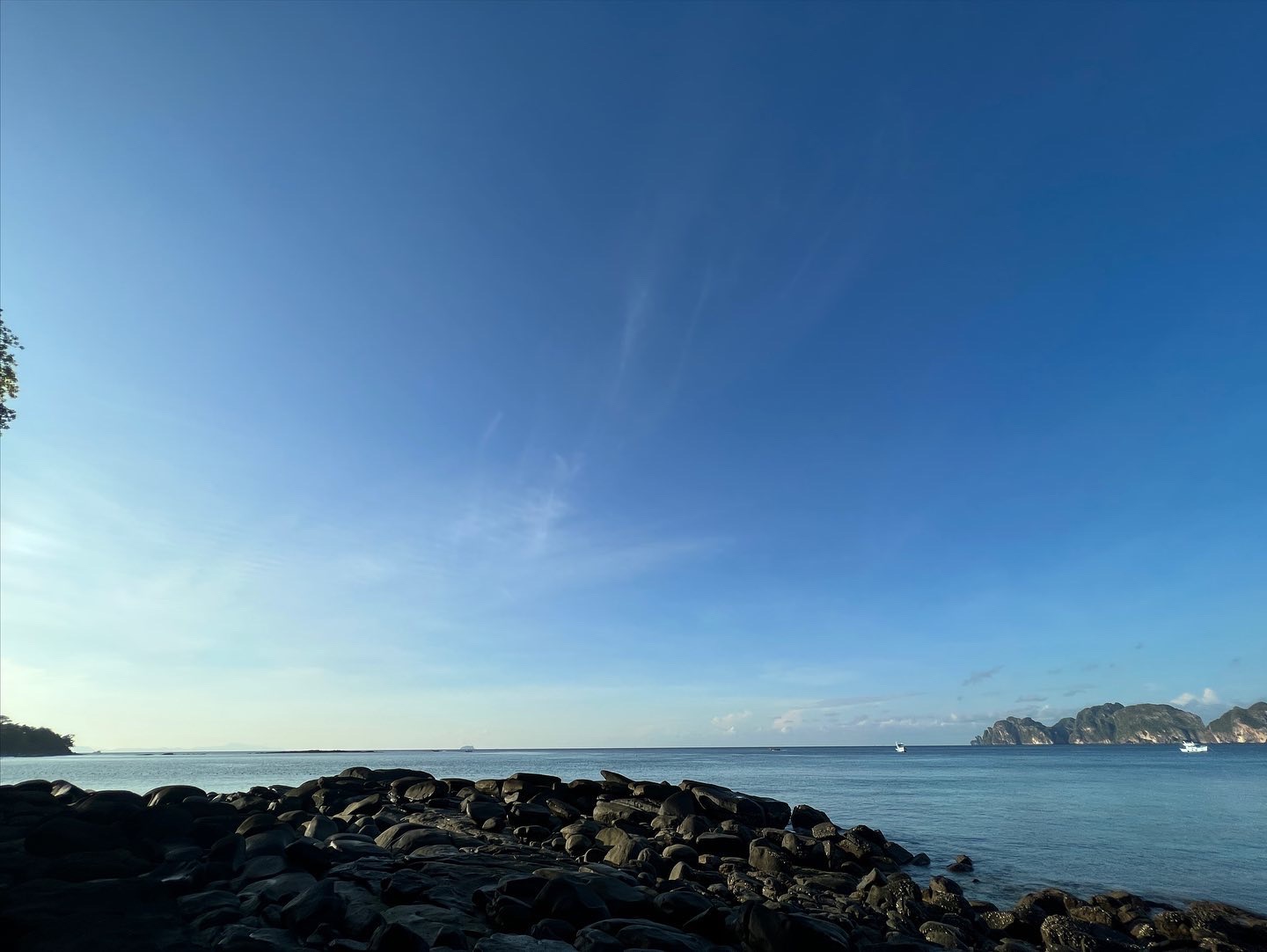 D5D5356B-8EF6-49B3-AA1A-6A31BD654783.jpeg