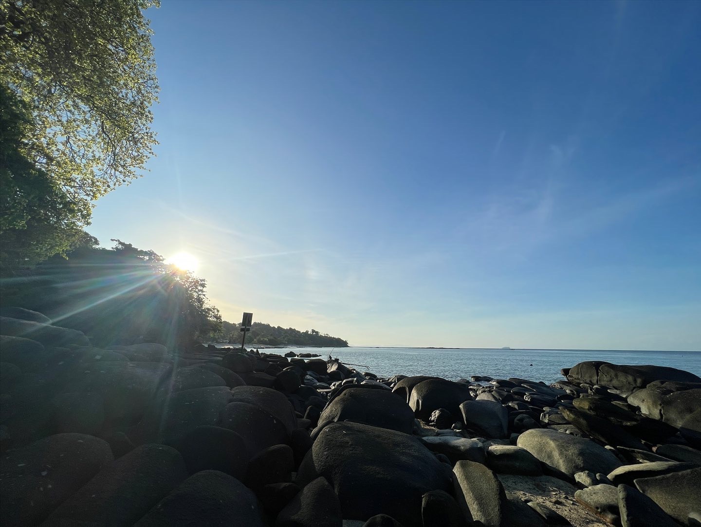 D5D5356B-8EF6-49B3-AA1A-6A31BD654783.jpeg