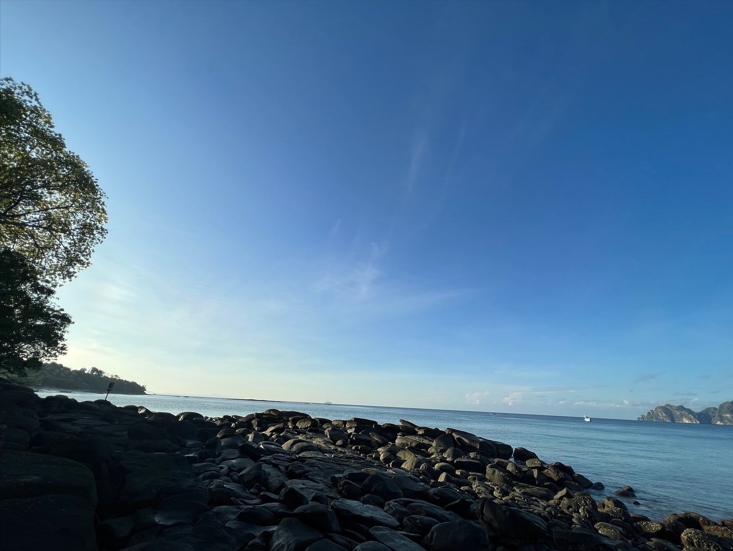 D5D5356B-8EF6-49B3-AA1A-6A31BD654783.jpeg