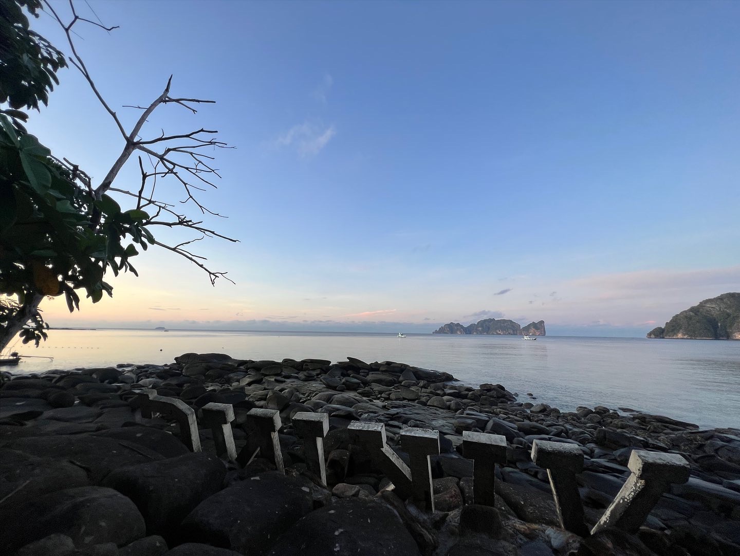 D5D5356B-8EF6-49B3-AA1A-6A31BD654783.jpeg