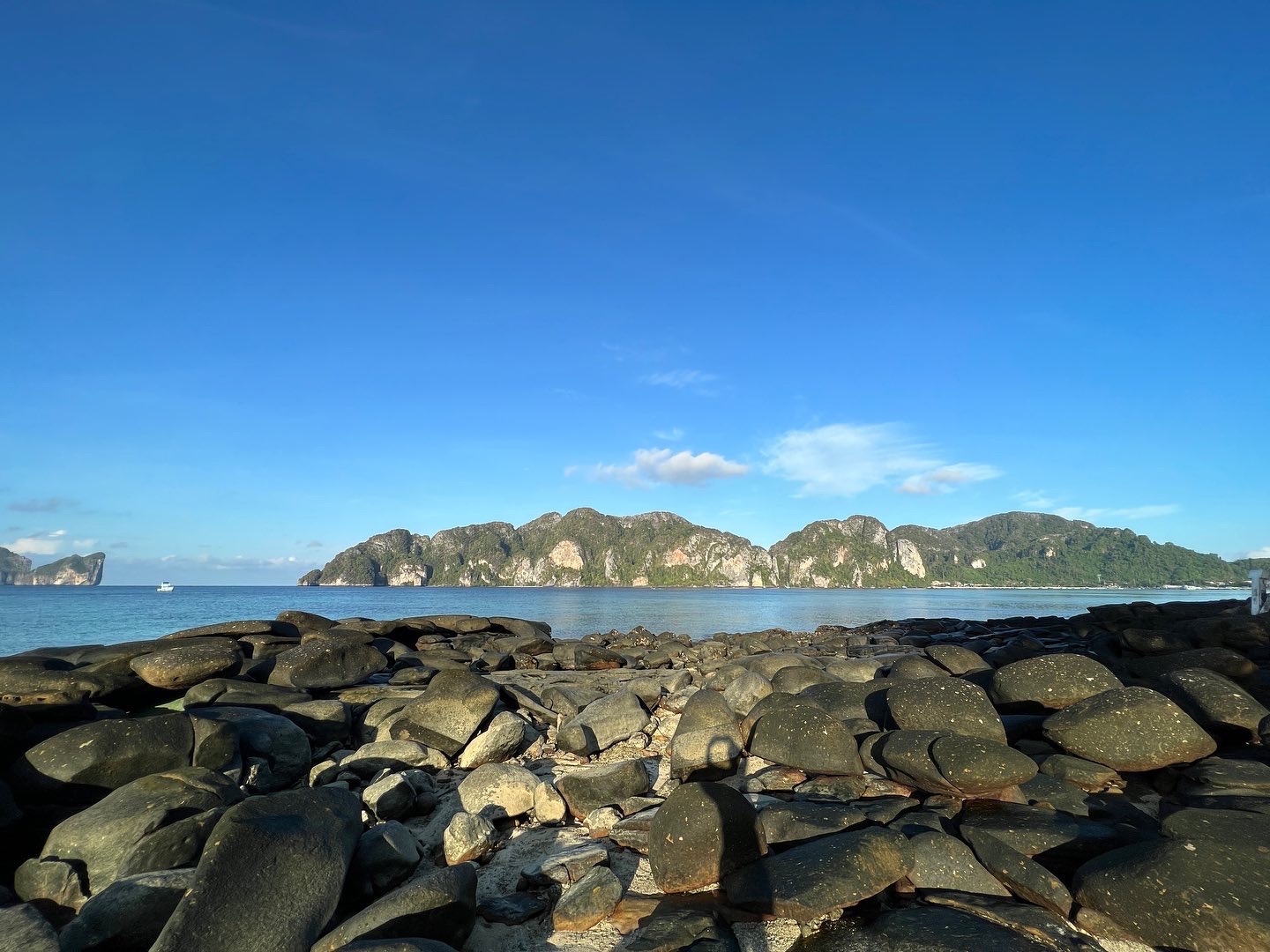 D5D5356B-8EF6-49B3-AA1A-6A31BD654783.jpeg