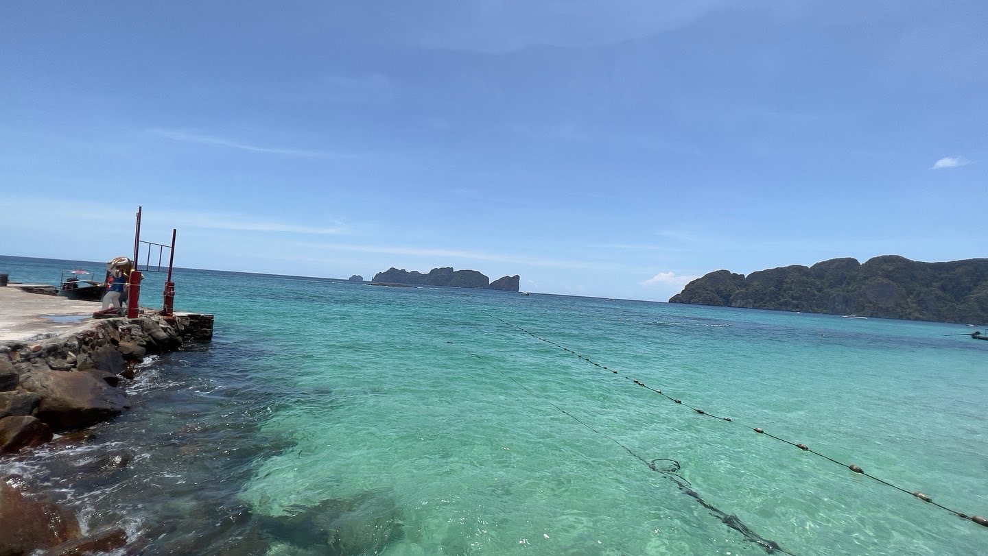D5D5356B-8EF6-49B3-AA1A-6A31BD654783.jpeg