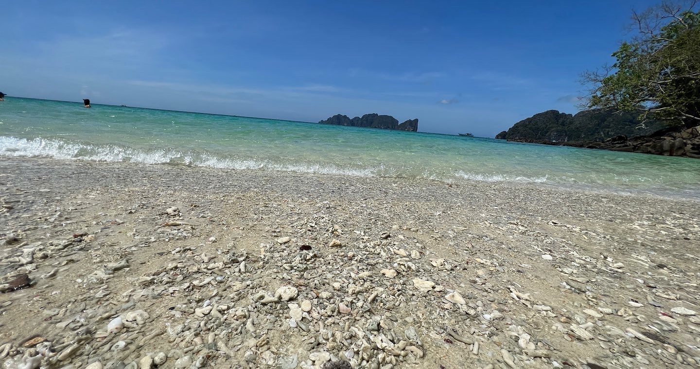D5D5356B-8EF6-49B3-AA1A-6A31BD654783.jpeg