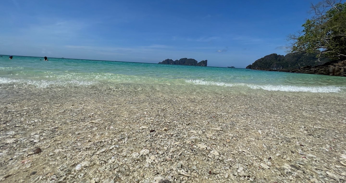 D5D5356B-8EF6-49B3-AA1A-6A31BD654783.jpeg