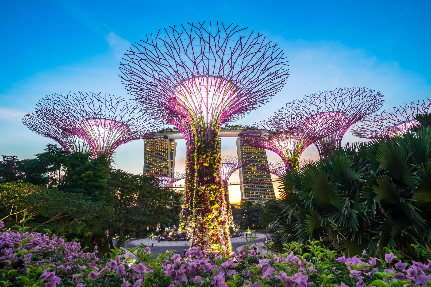 การ์เด้นส์ บาย เดอะ เบย์ (GARDENS BY THE BAY).jpg