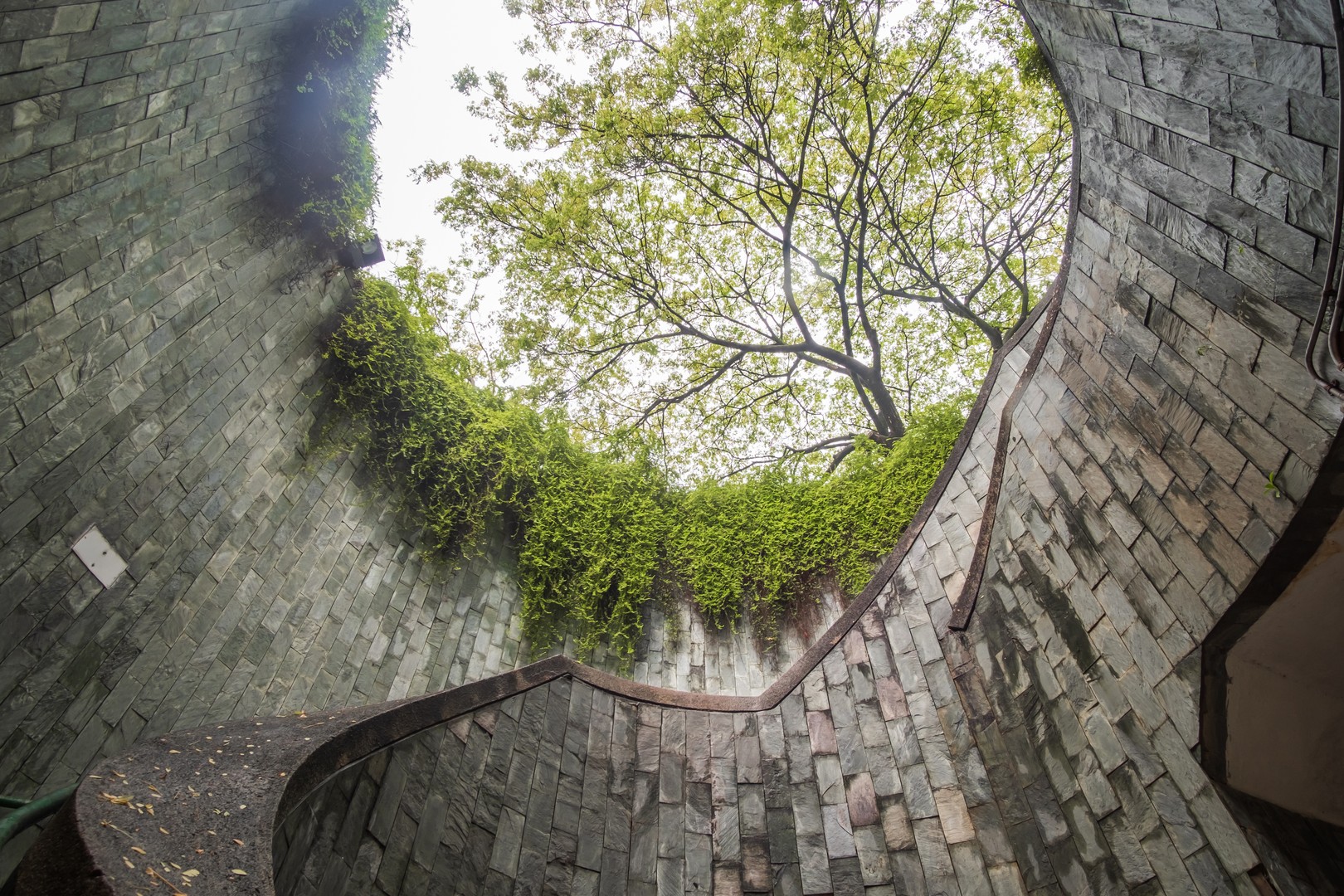อุโมงค์ต้นไม้ (TREE TUNNEL AT FORT CANNING PARK)jadtrip (3).jpg