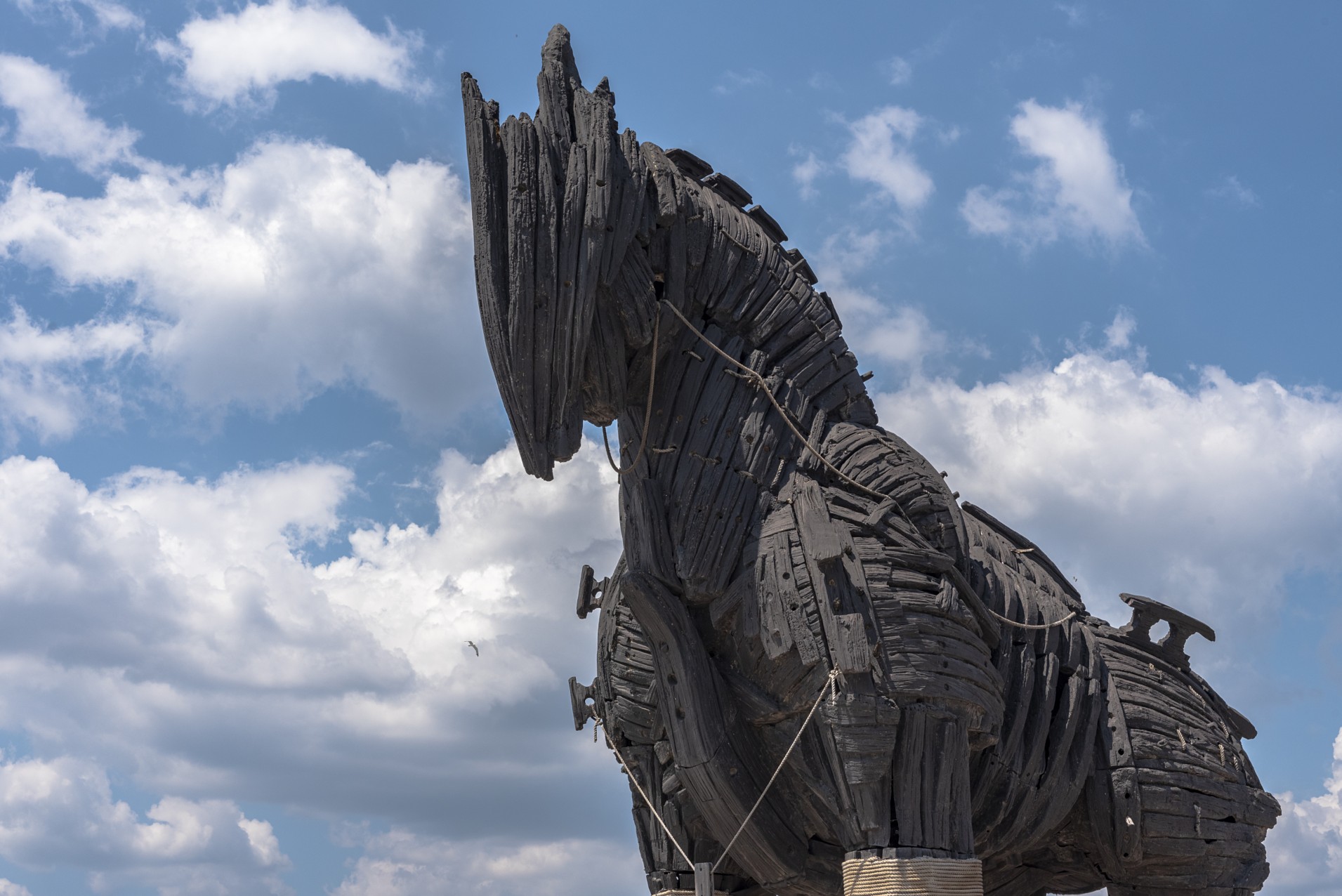 ม้าไม้จำลองเมืองทรอยริมทะเล (TROJAN STATUEHOLLYWOODHORSE)jadtrip05.jpg