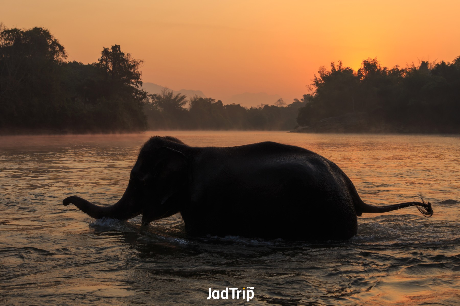 Elephant World กาญจนบุรี 7_jadtrip.jpg